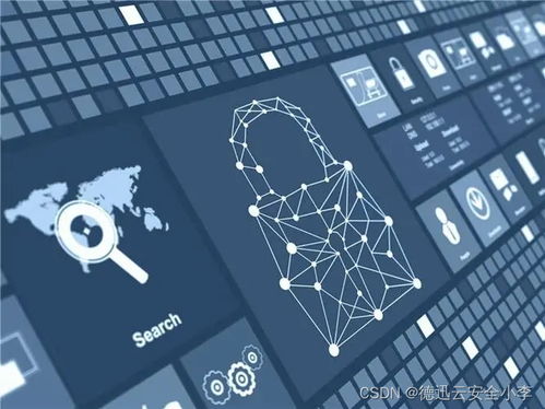 网络信息安全十大隐患与防范实践 聚焦软件开发